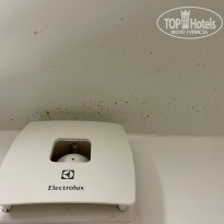 фото из отзыва ID 2370533