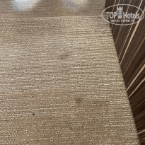 фото из отзыва ID 2370533