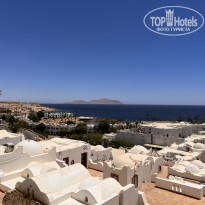 фото из отзыва ID 2370547