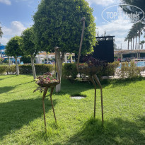 фото из отзыва ID 2370595