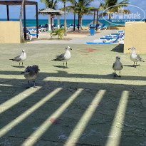 фото из отзыва ID 2370685