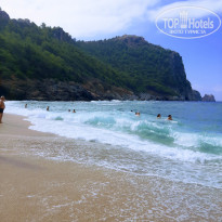 фото из отзыва ID 2370813