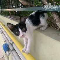 фото из отзыва ID 2370829