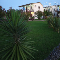 фото из отзыва ID 2371002