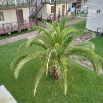 фото из отзыва ID 2371002