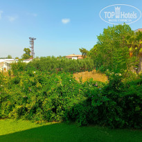 фото из отзыва ID 2371366