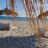 фото из отзыва ID 2371395