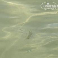 фото из отзыва ID 2371395