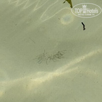 фото из отзыва ID 2371395