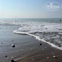 фото из отзыва ID 2371586