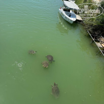 фото из отзыва ID 2371592