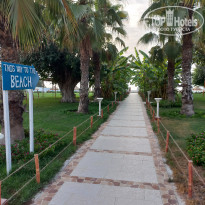 фото из отзыва ID 2371598