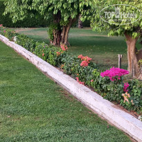 фото из отзыва ID 2371598