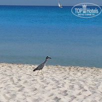 фото из отзыва ID 2371733