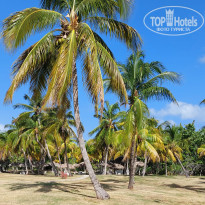 фото из отзыва ID 2371733