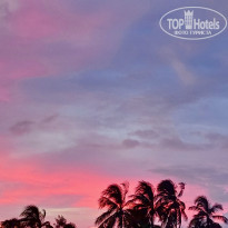 фото из отзыва ID 2371733