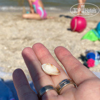 фото из отзыва ID 2371786