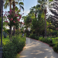 фото из отзыва ID 2371889