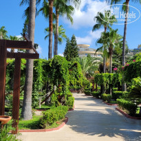 фото из отзыва ID 2371889