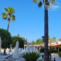 фото из отзыва ID 2371889