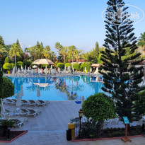 фото из отзыва ID 2371889