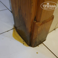 фото из отзыва ID 2371967