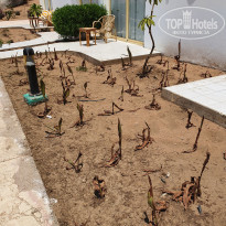 фото из отзыва ID 2371967