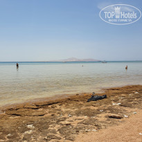 фото из отзыва ID 2371967