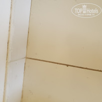 фото из отзыва ID 2371967