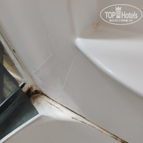 фото из отзыва ID 2372090