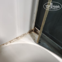 фото из отзыва ID 2372090