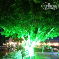 фото из отзыва ID 2372139