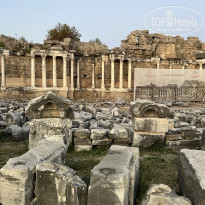 фото из отзыва ID 2372193