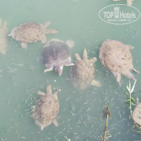 фото из отзыва ID 2372251