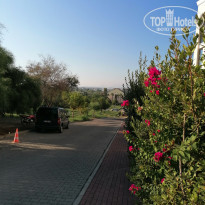 фото из отзыва ID 2372494