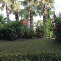 фото из отзыва ID 2372494