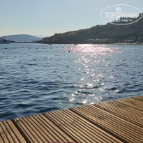 фото из отзыва ID 2372516