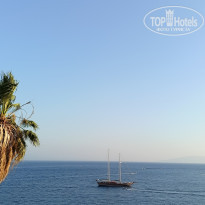 фото из отзыва ID 2372516