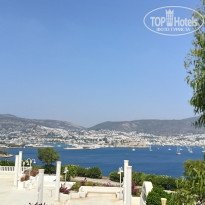 фото из отзыва ID 2372516