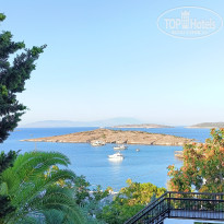 фото из отзыва ID 2372516