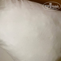 фото из отзыва ID 2372558