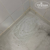 фото из отзыва ID 2372558