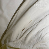 фото из отзыва ID 2372558