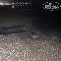 фото из отзыва ID 2372558