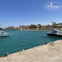 фото из отзыва ID 2372578