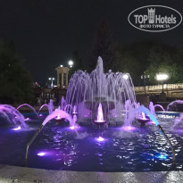 фото из отзыва ID 2372094