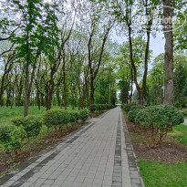 фото из отзыва ID 2372094