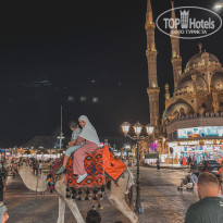 фото из отзыва ID 2372622