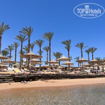 фото из отзыва ID 2372622