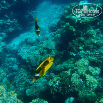 фото из отзыва ID 2372705